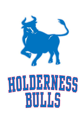 holderness-bulls